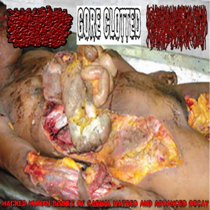 Hacked Human Bodies of Carnal Hatred and Advanced Decay cover
