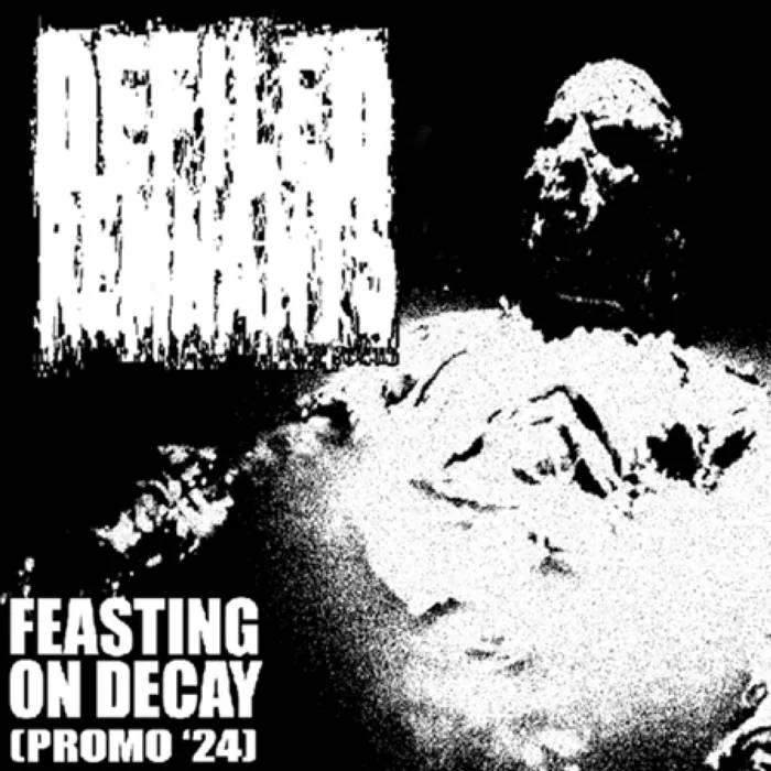 Feasting on Decay (Promo '24) cover