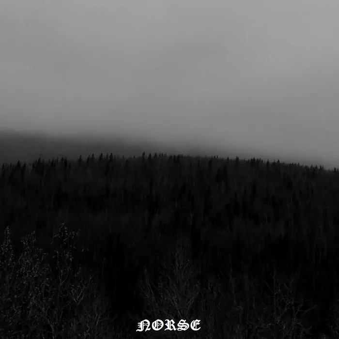 The Giants Awake cover