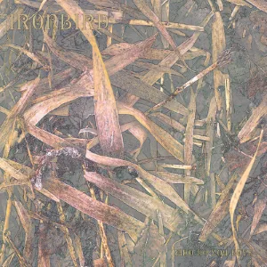 Who Do You Love cover