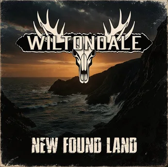 New Found Land cover