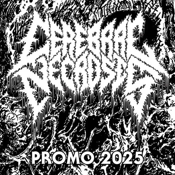 Promo 2025 cover