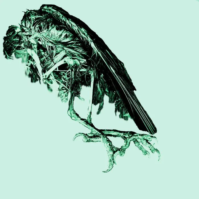 What Became Nothing cover