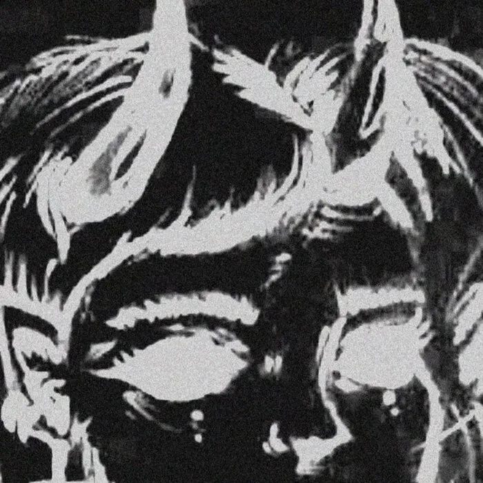 Birdwitch cover