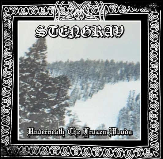 Underneath the Frozen Woods cover