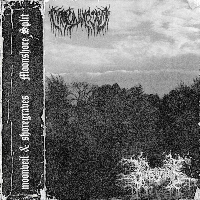 Moonshore cover
