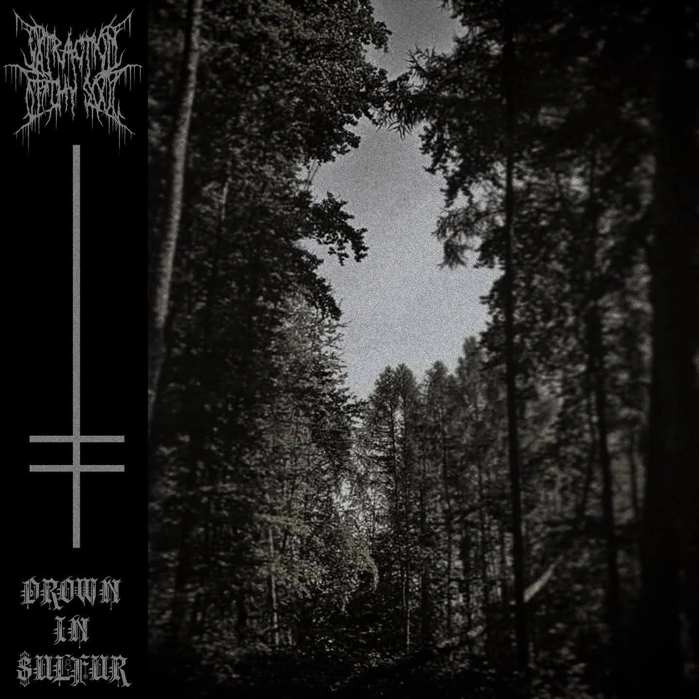 Drown in Sulfur cover