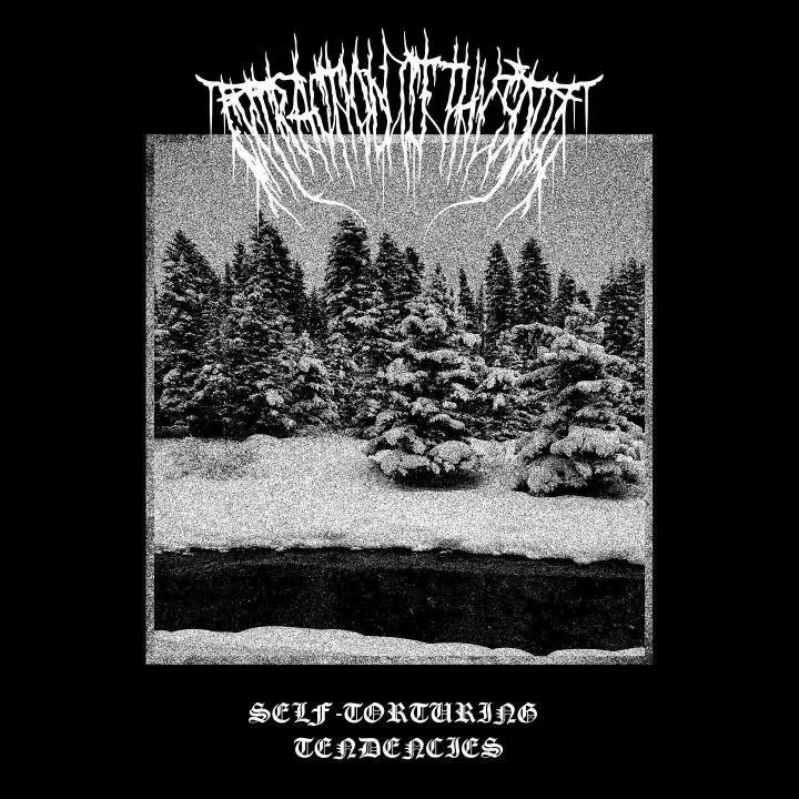 Self-Torturing Tendencies cover