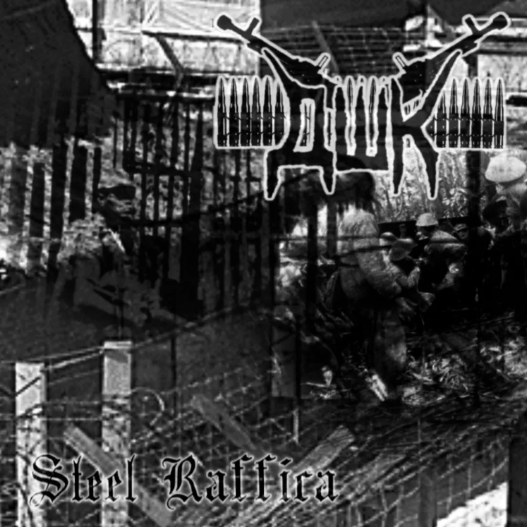 Steel Raffica cover