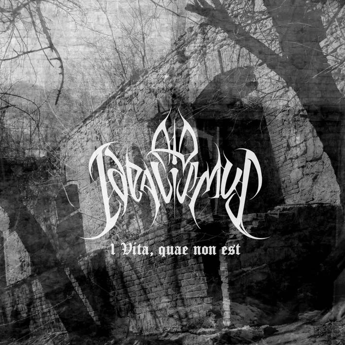 I Vita, quae non est cover