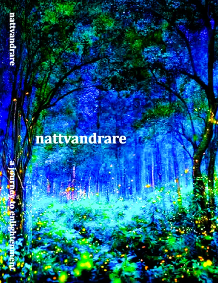 A Journey to Enlightenment cover