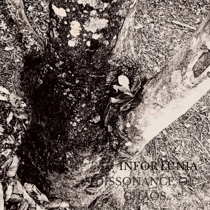 Dissonance of Chaos. cover