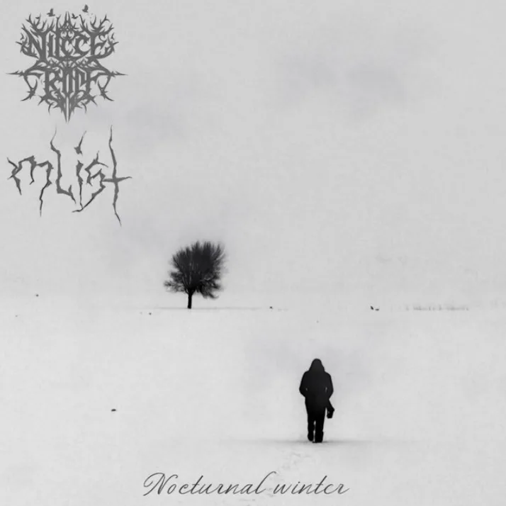 Nocturnal Winter cover