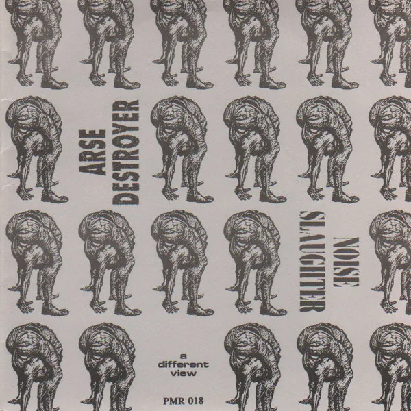 A Different View cover