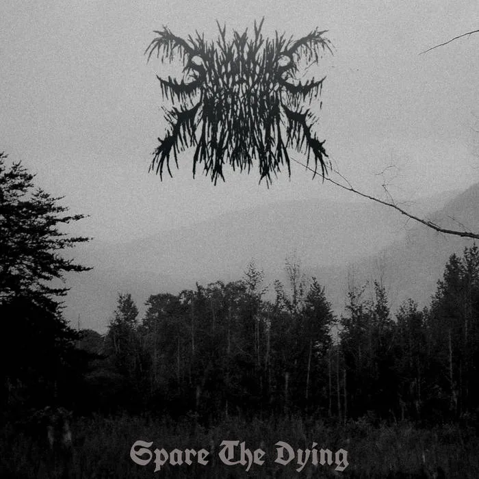Spare the Dying cover