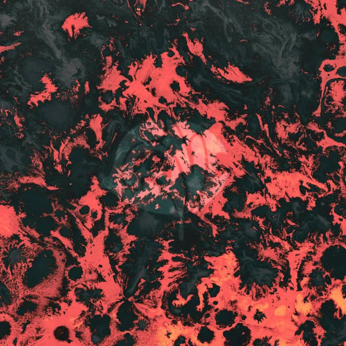Temple 63 cover
