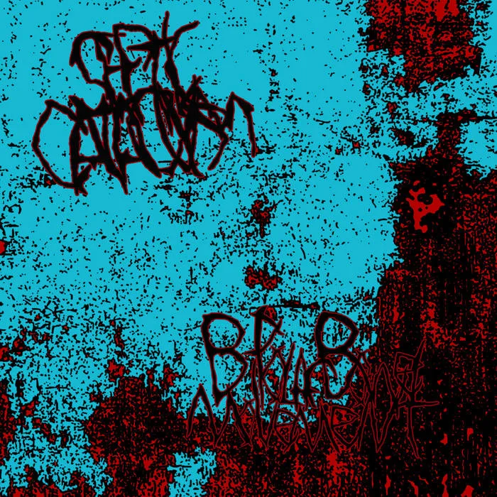 Bipolar Bowel Movement cover