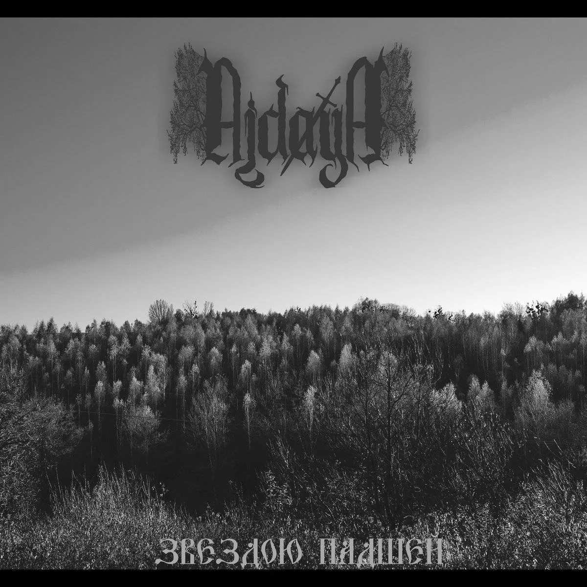 Звездою падшей... cover