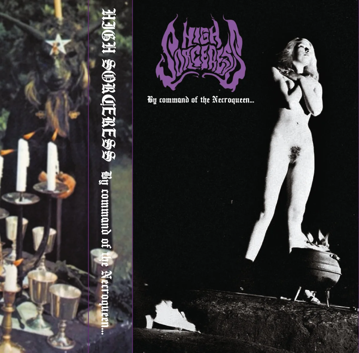 By Command of the Necroqueen cover
