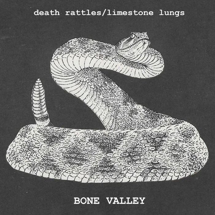 Death Rattles/Limestone Lungs cover