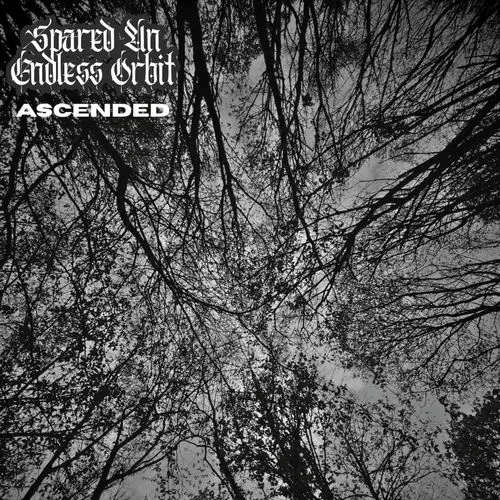 Ascended cover