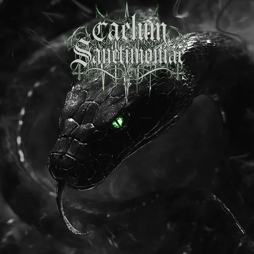 Through the Eyes of the Omniscient Ophis cover