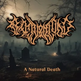 A Natural Death cover