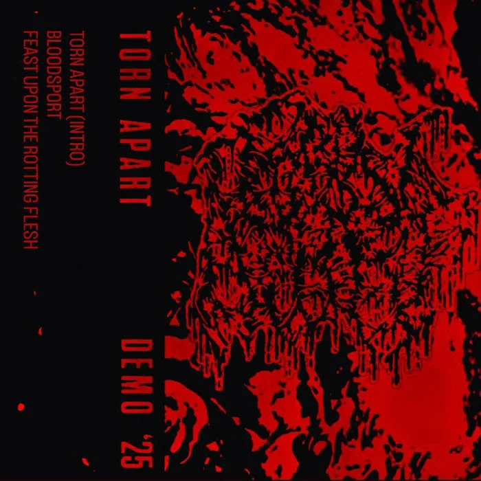 Demo 2025 cover