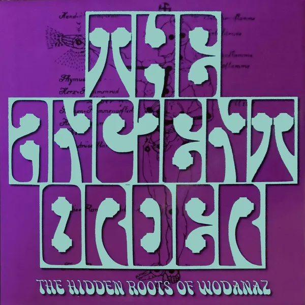 The Hidden Roots of Wodanaz cover