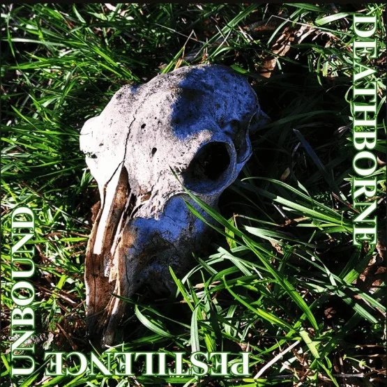 Pestilence Unbound cover