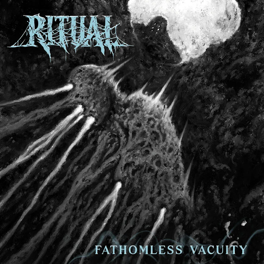 Fathomless Vacuity cover