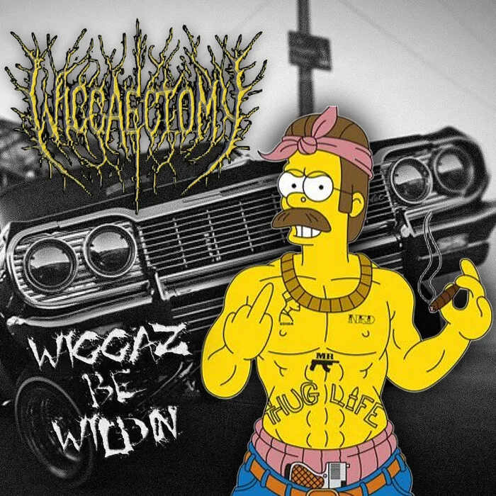 Wiggaz Be Wildin cover