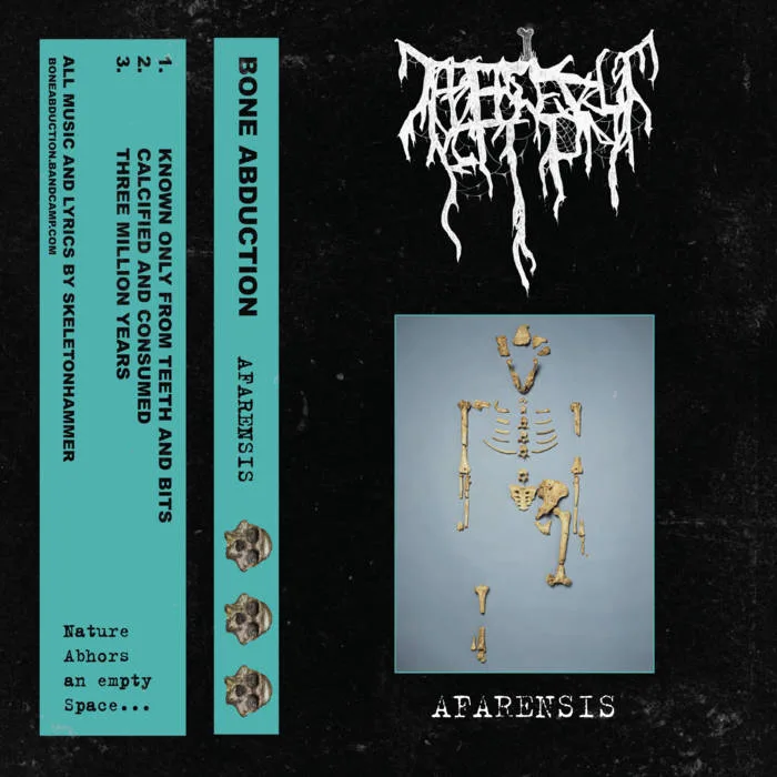 Afarensis cover