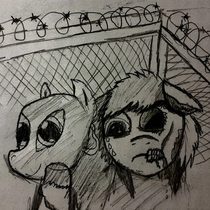 Unidentified in the Ponyville Morgue cover
