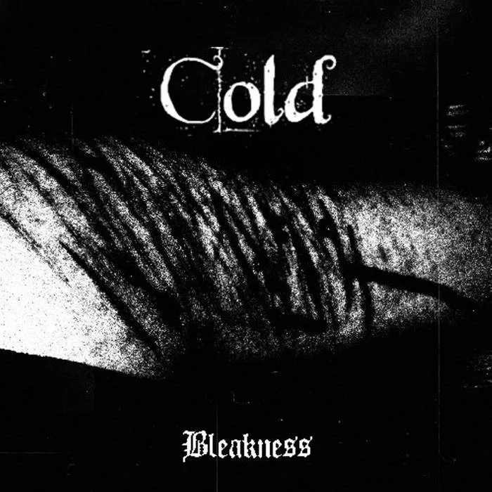 Bleakness cover