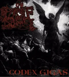 Codex Gigas cover