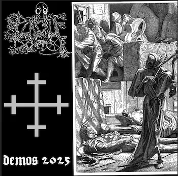 Demos 2025 cover