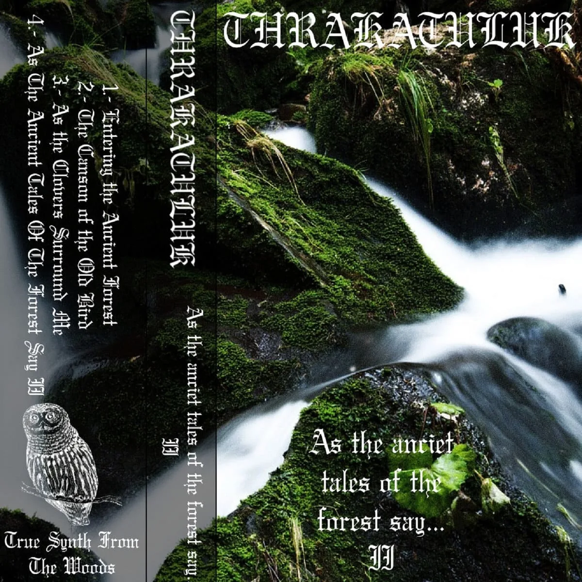 As the Ancient Tales of the Forest Say... II cover