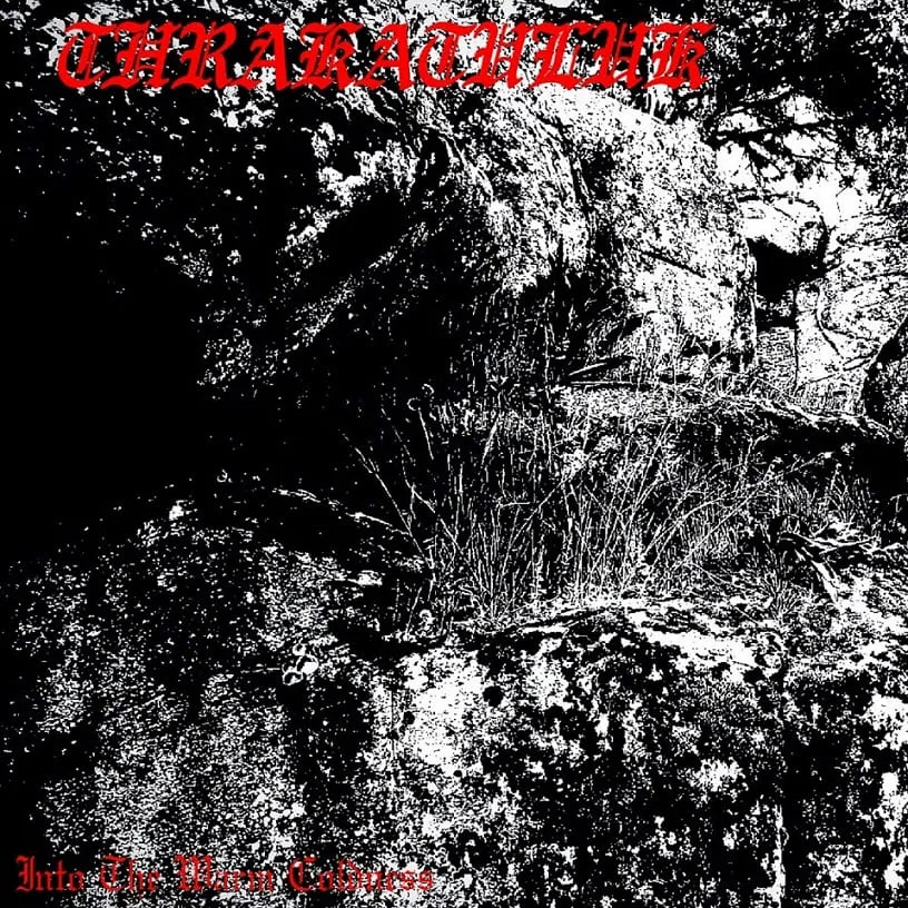 Into the Warm Coldness cover