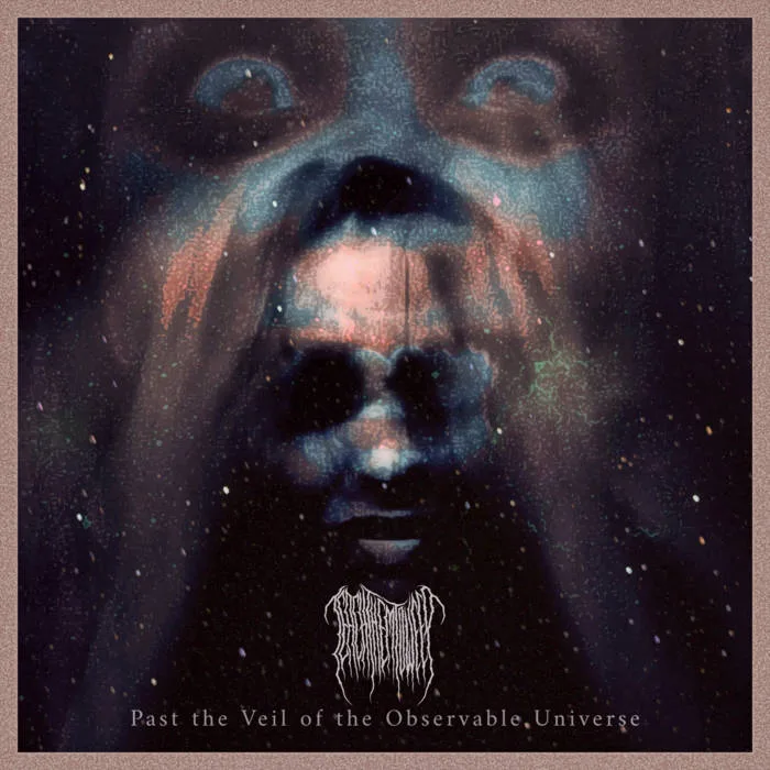 Past the Veil of the Observable Universe cover