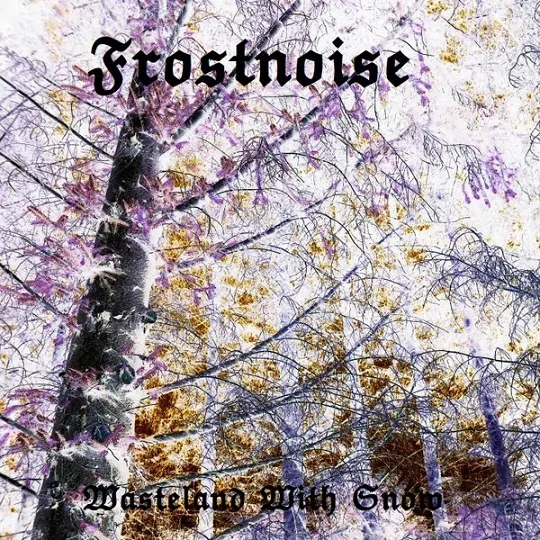 Wasteland with Snow cover