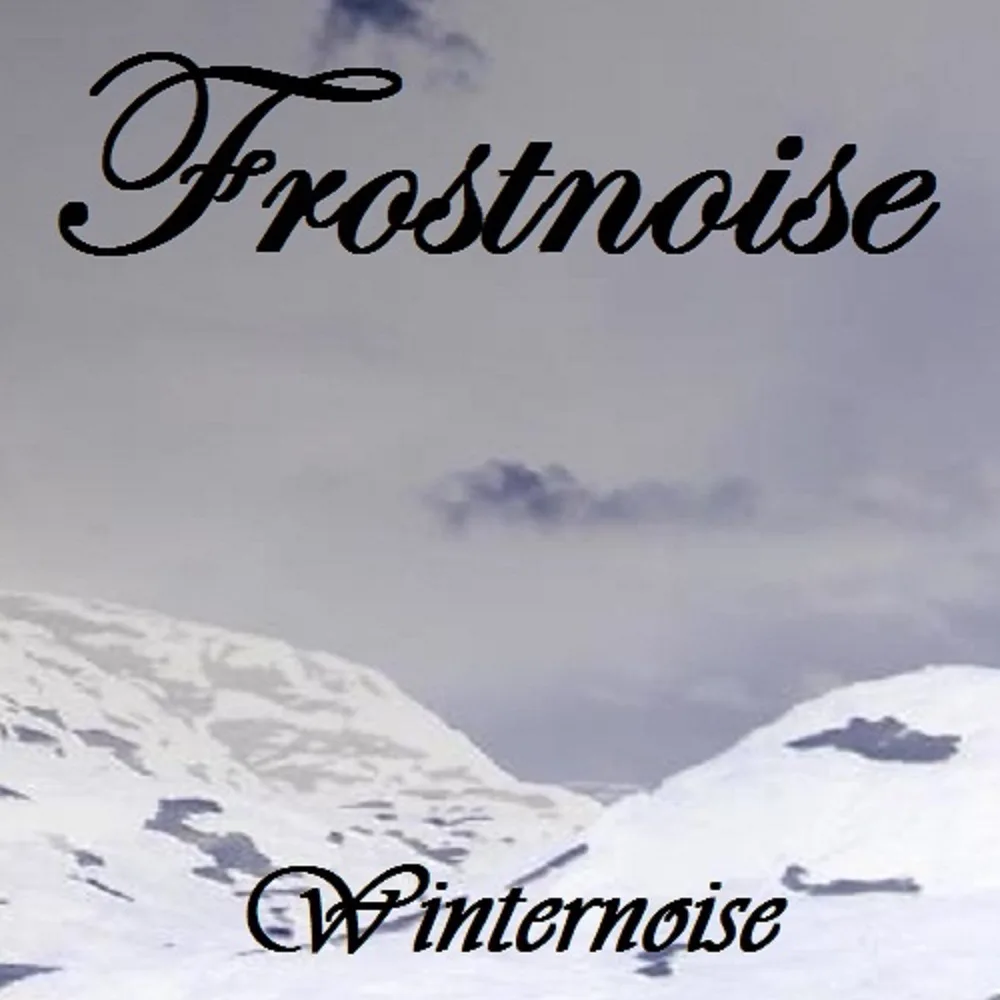 Winternoise cover