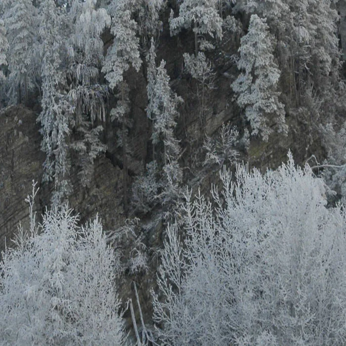 2025_10_31_18_01_10 cover