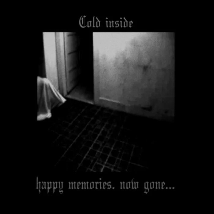 Happy Memories, Now Gone... cover