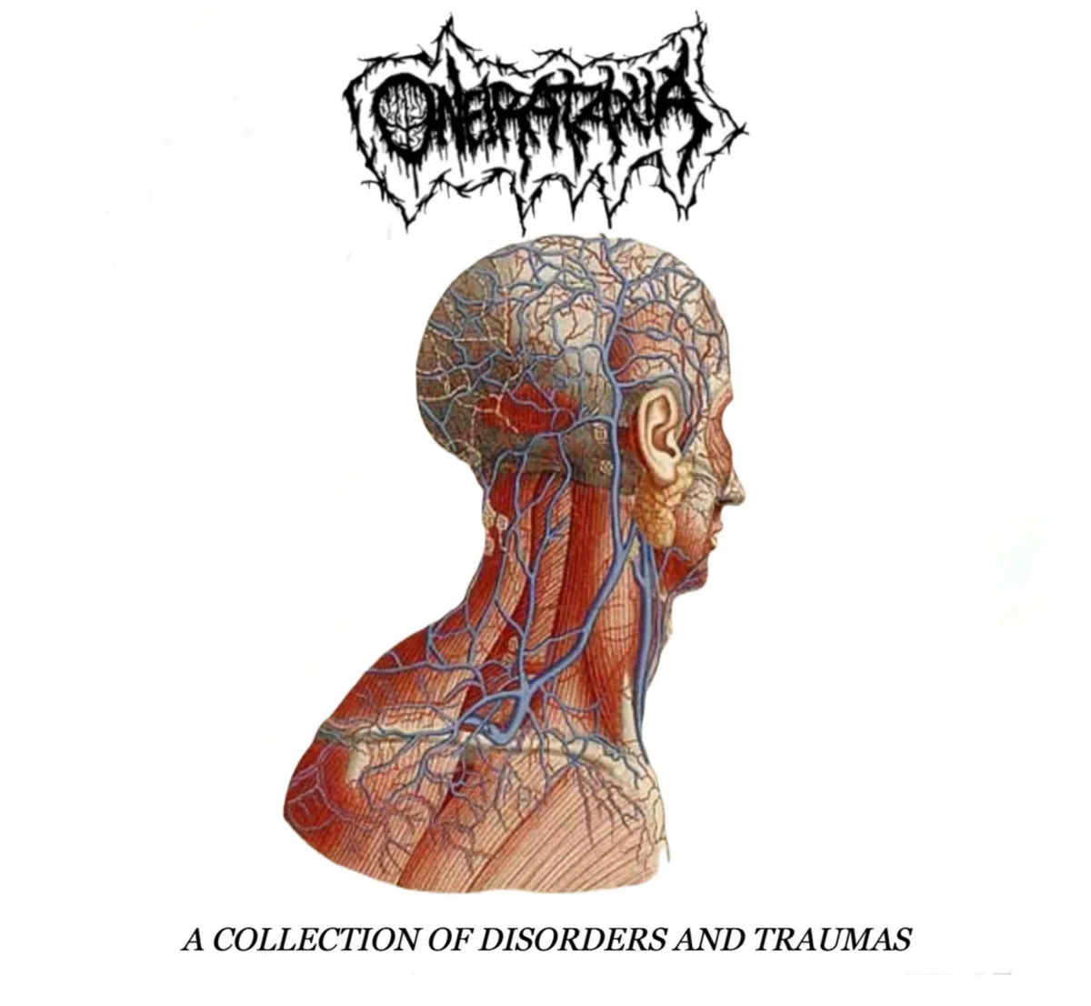 A Collection of Disorders and Traumas cover