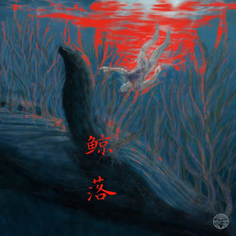 鲸落 cover