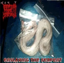 Enslaving the Serpent cover