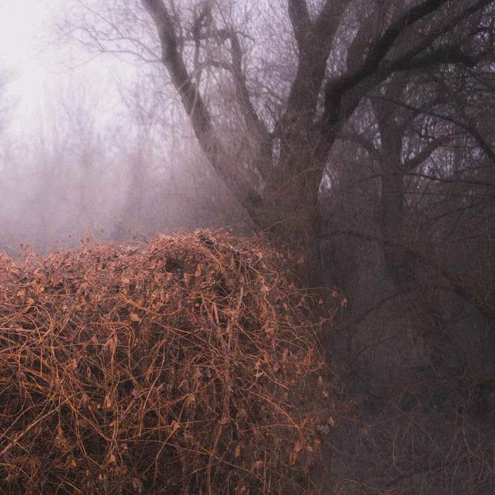 Nincs szennyezetlen szép cover