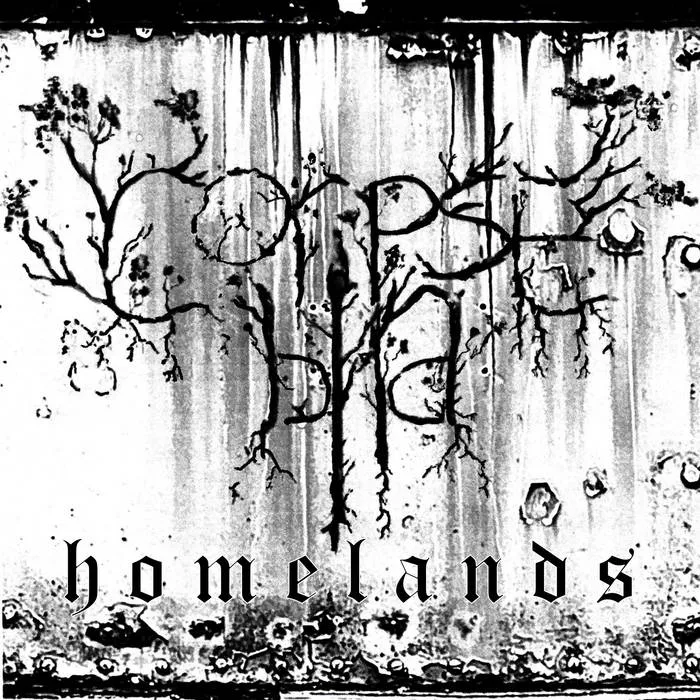 Homelands cover