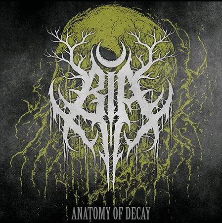 Anatomy of Decay cover